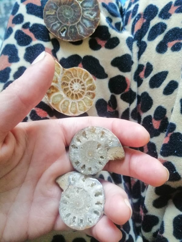 From Stone to Ghost